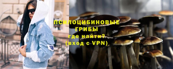 гашик Белоозёрский