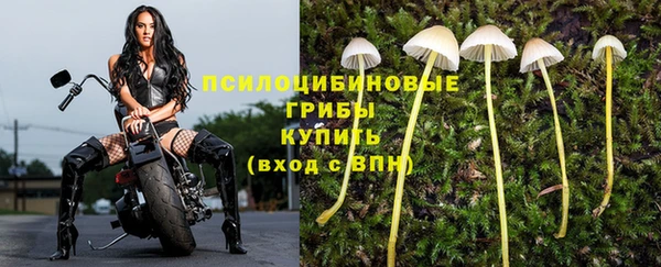 гашик Белоозёрский
