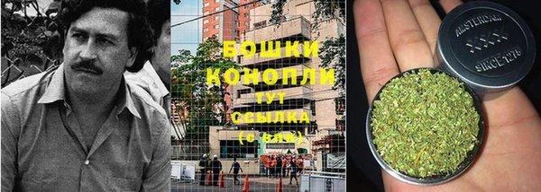 гашиш Белокуриха