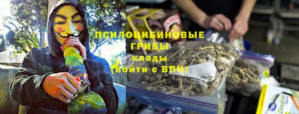 стаф Медвежьегорск