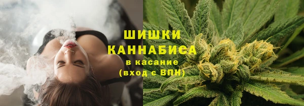 гашик Белоозёрский